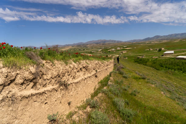 Zig-zagging dry wall and cliff with puffin burrows