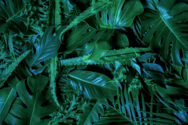 istock Abstract green leaves nature texture background. Creative layout for design 2163635843