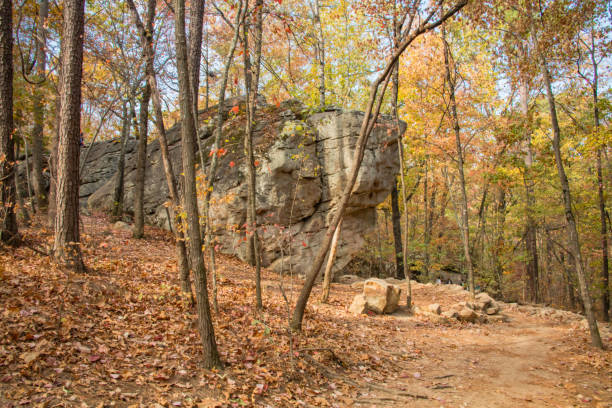 istock Wooded Area in Autumn with Large Rock Formation 2163637896