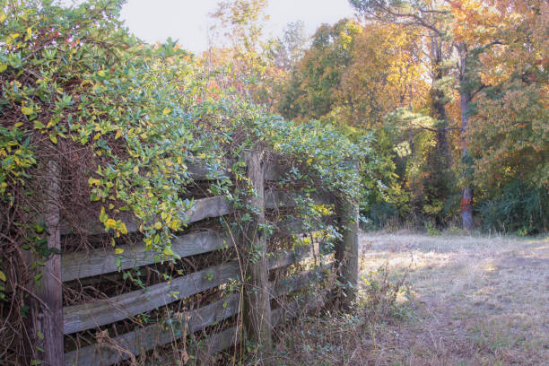 istock Old Corral in Pasture with Autumn Colors 2163638542