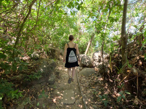 istock Woman explores tropical forest above sea 2163645337