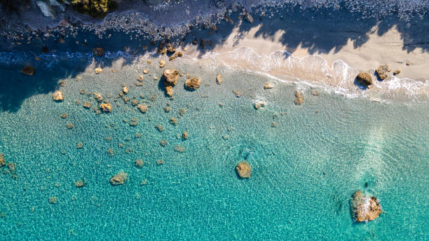 istock Tropical island palm tree beach from above 2163648063
