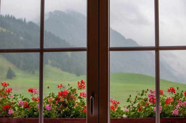 Transom window with balcony plants and mountains in the background