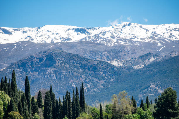 Snow-capped Sierra Nevada mountains with lush green trees in the foreground, located in Granada, Andalusia, Spain. Majestic natural landscape and scenic beauty.