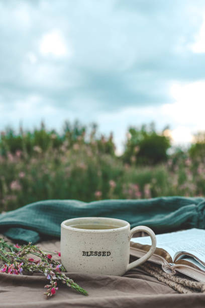 istock Cup with text BLESSED and open Bible in the garden, good morning 2163660079