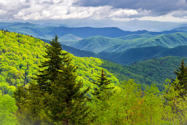 istock Panorama Along Blue Ridge Parkway: Ridge Junction Overlook, North Carolina 2163660176
