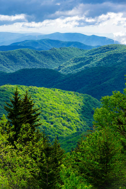 istock Panorama Along Blue Ridge Parkway: Ridge Junction Overlook, North Carolina 2163660237
