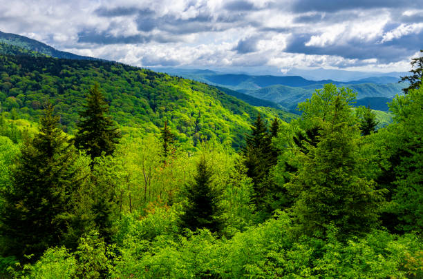 istock Panorama Along Blue Ridge Parkway: Ridge Junction Overlook, North Carolina 2163660243