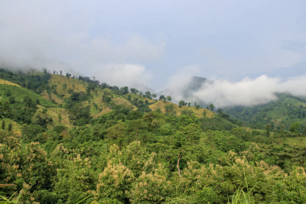 istock Landscape of Chittagong Hill Tracts. 2163662774
