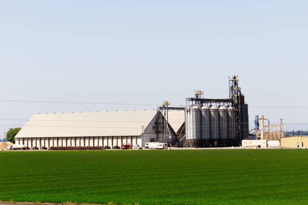 Exterior of modern metal silos in an agricultural field.