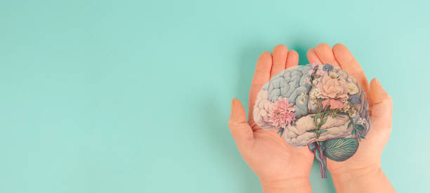 istock Human brain, mental health concept, positive attitude and inspiration, creative thinking mind, flowers, pastel color 2163665433