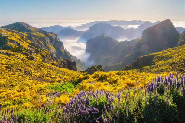istock View from Pico do Arieiro, Portugal 2163665864