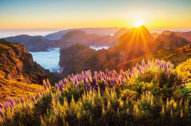 istock View from Pico do Arieiro, Portugal 2163665872