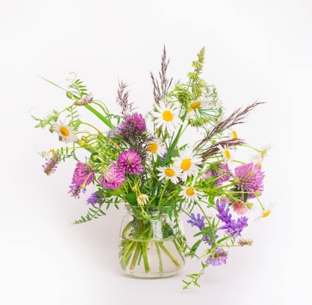 istock Wildflowers bouquet in a jar on white background. 2163667303