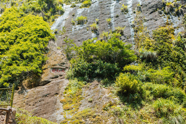 Mount Wuyi Dahongpao Tea Garden