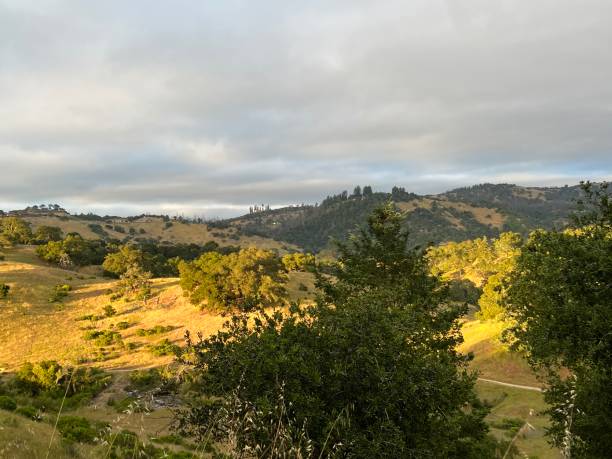 istock Shiloh Ranch Regional Park, Sonoma County, California 2163670812