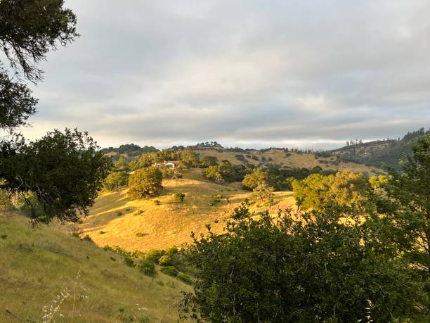 istock Shiloh Ranch Regional Park, Sonoma County, California 2163670814