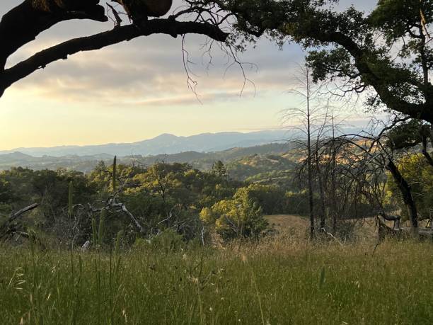 istock Shiloh Ranch Regional Park, Sonoma County, California 2163670839