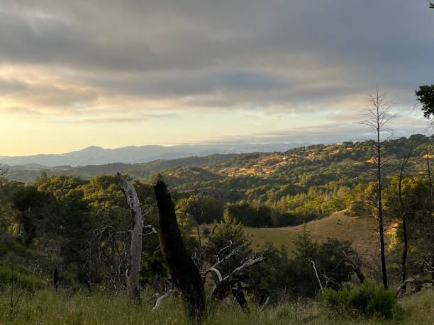 istock Shiloh Ranch Regional Park, Sonoma County, California 2163670844
