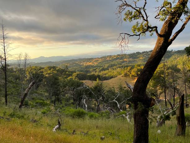 istock Shiloh Ranch Regional Park, Sonoma County, California 2163670849