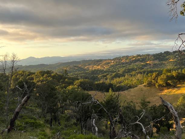 istock Shiloh Ranch Regional Park, Sonoma County, California 2163670855