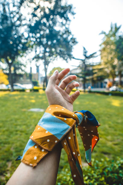 Take photos and check-in in front of Beijing parks