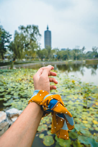 Take photos and check-in in front of Beijing parks