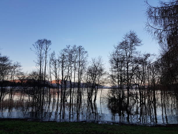 istock Bare tree reflections on an overflowing lake, Loch Lomond, Balloch, Scotland UK 2163675342