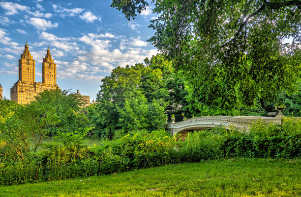 istock Bow bridge early morning in summer 2163680631