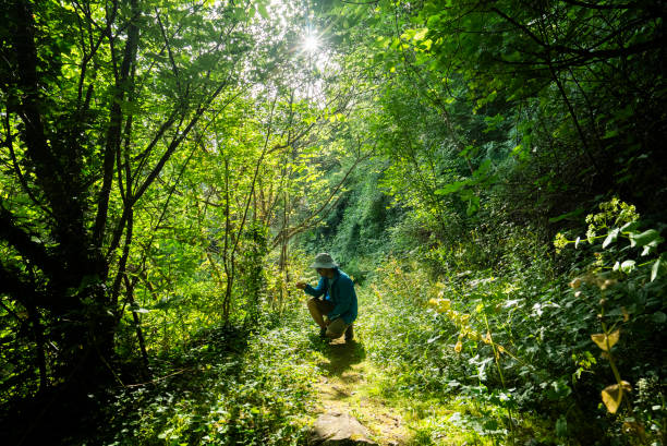istock Man Examining Plant in Forest 2163683026
