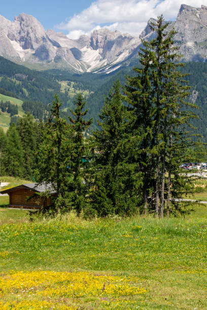 istock Alpine landscape in Val Gardena 2163697918