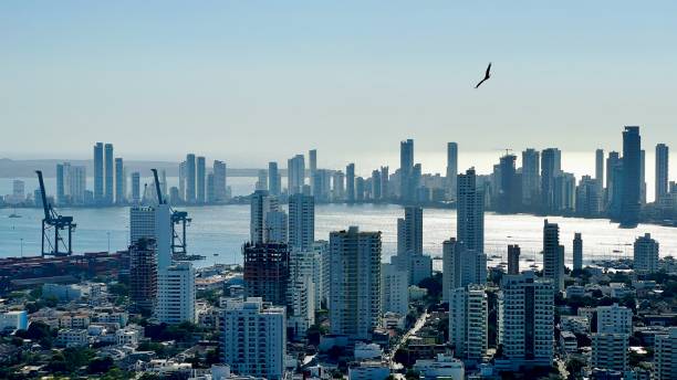 istock a bird flying over a city 2163705755