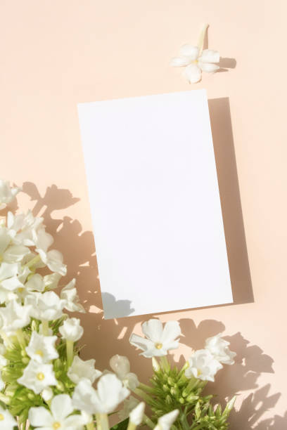 istock Flowers and Business Card Mock-up 2163705804