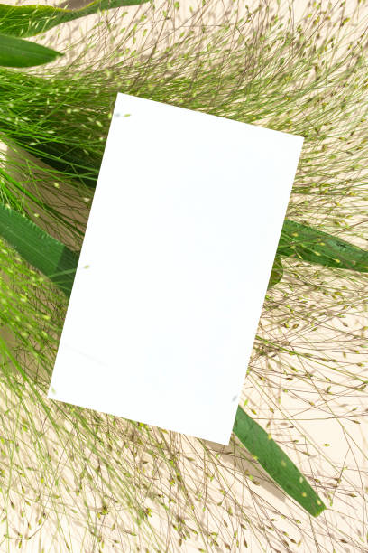 istock Flowers and Business Card Mock-up 2163705813