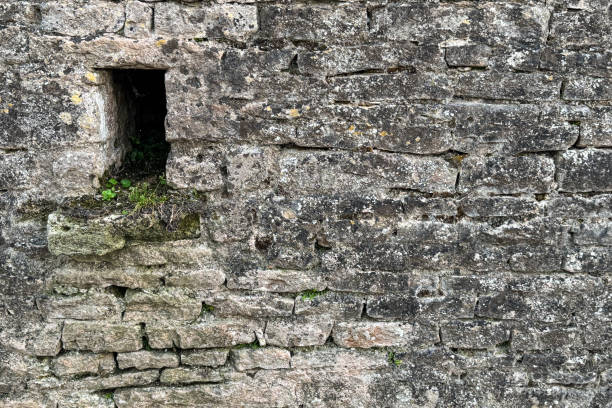 istock Ancient stone wall in France creates textured still life 2163707675