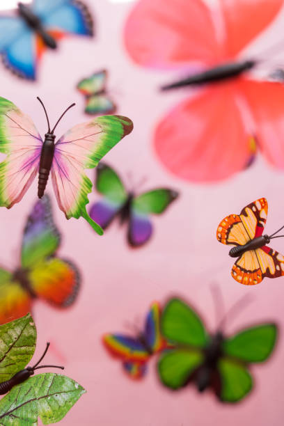 istock Butterflies on pink background 2163709363
