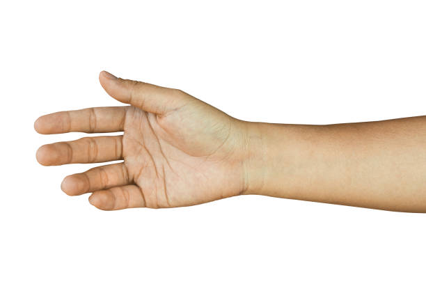 istock Female hand gesture Isolated on white background, clipping path. 2163710093