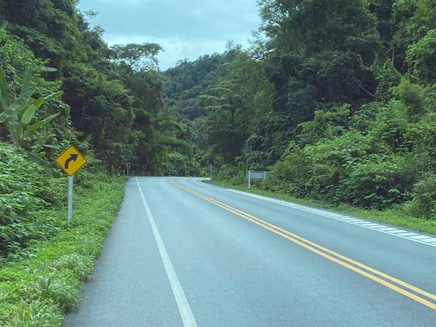 istock A tranquil road  through a canopy of green trees. 2163710584