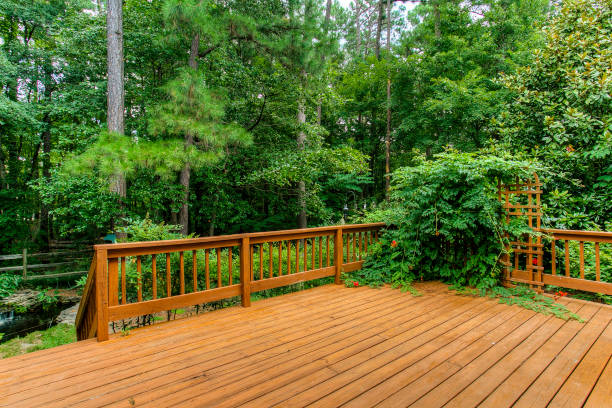 istock A Warm Wooden Deck Surrounded By Lush Foliage And Climbing Plants. 2163712249