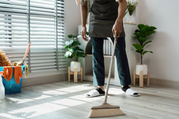 istock Man Sweeping Floor in Modern Living Room with Plants and Sunlight Through Blinds 2163713726