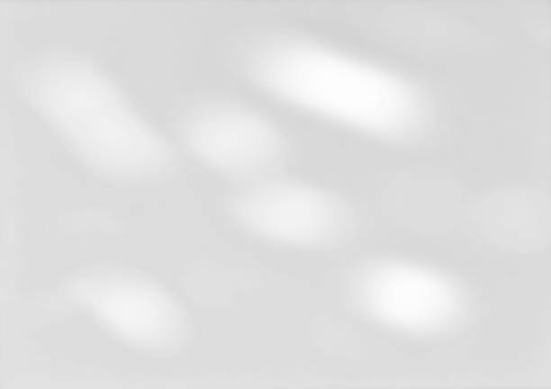 istock White wall with shadow of leaves overlay. Sunlight effect shadow on the wall. 2163716313