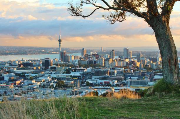 istock City scape at sunrise 2163717836