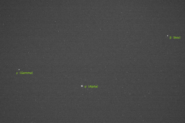 Canis Major constellation. Star cluster messier 41