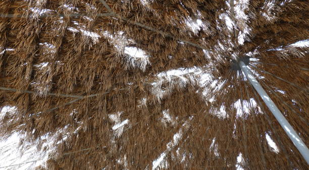 istock Sunlight Through Thatch Roof Tropical Close-Up Detail 2163724425