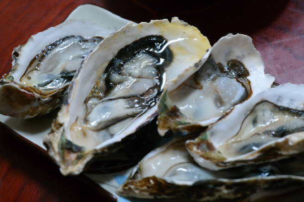 istock Fresh oysters on a plate in a restaurant 2163726627