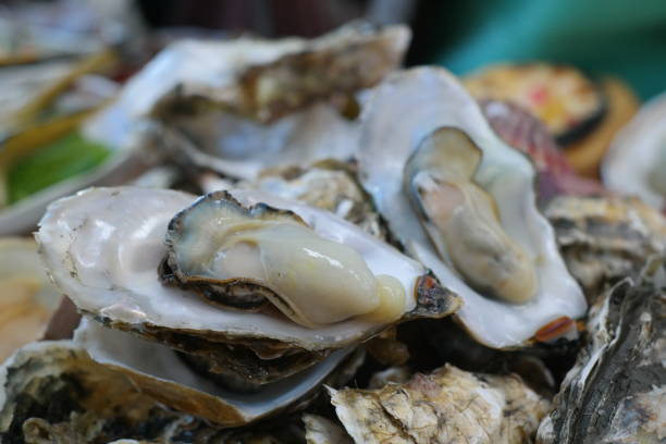 istock Fresh oysters on a plate in a restaurant 2163726642