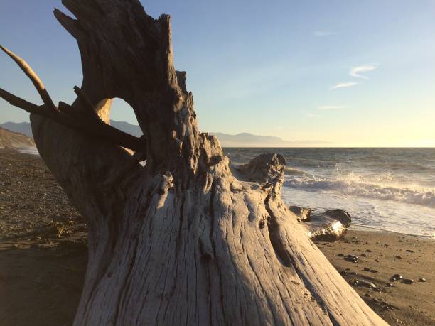 istock The tide rolls in Dungeness Spit ￼ 2163726664