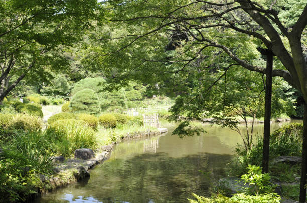 istock Shin-Edogawa Park 2163735940