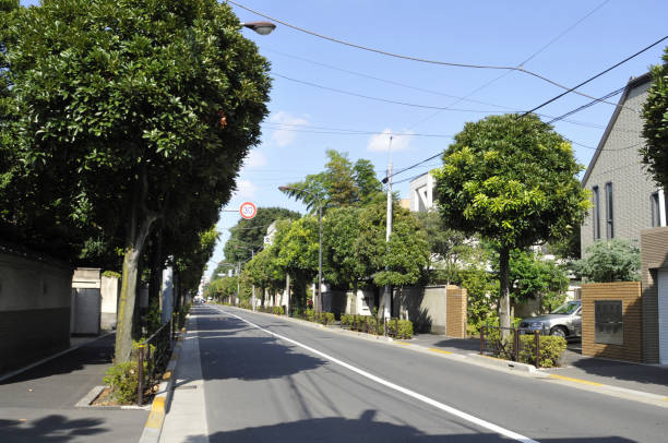 istock Residential streetscape 2163736261