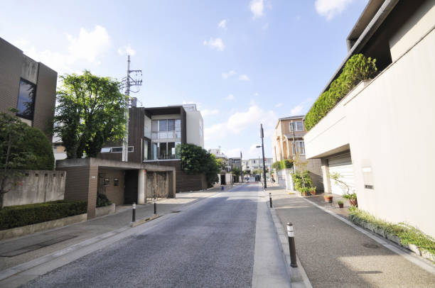 istock Residential streetscape 2163736423